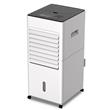 Climatizador Westinghouse Frío Calor 6 Litros 65W en Frío 2000W en Calor Control Remoto LG04-13CR
