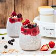 Yogurtera Yelmo 7 Jarros 160Ml 15W YG-1700.