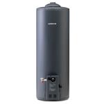 Termotanque Longvie 110 Litros Alta Eficiencia 328 L/H Aislación Poliuretano