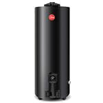 Termotanque Premium 120lts A.E.E De pie Gas natural Rheem