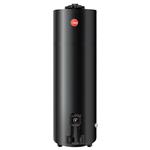 Termotanque Premium 150lts A.E.E De pie Gas natural Rheem