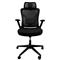 Silla de Oficina Dalton Reposa Cabeza Soporte Lumbar Altura regulable Negra DA-LDL-949H